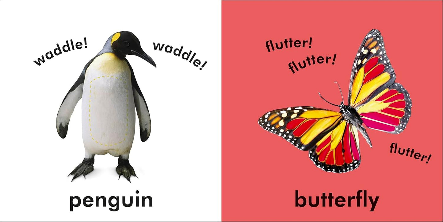 Libro Animales: se pueden tocar y sentir