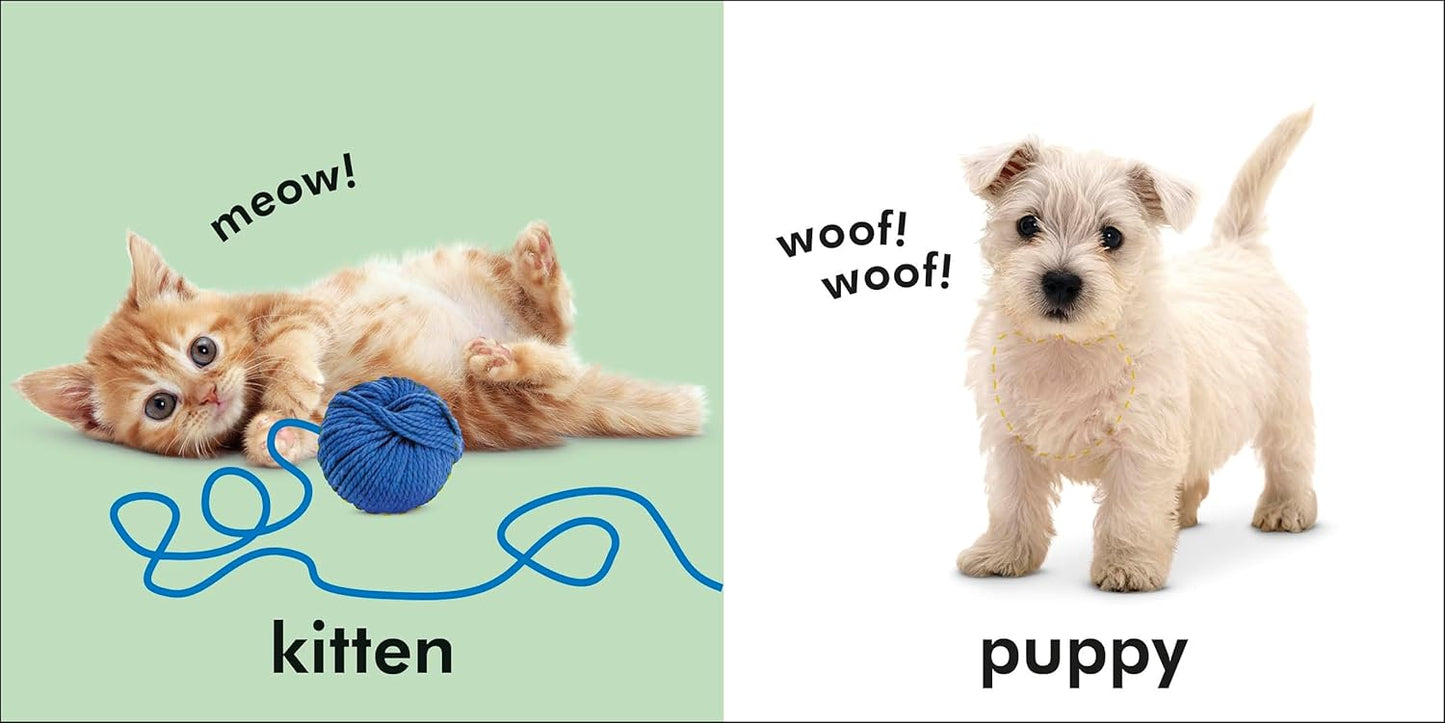 Libro Animales: se pueden tocar y sentir