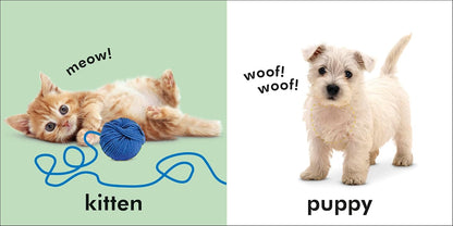 Libro Animales: se pueden tocar y sentir
